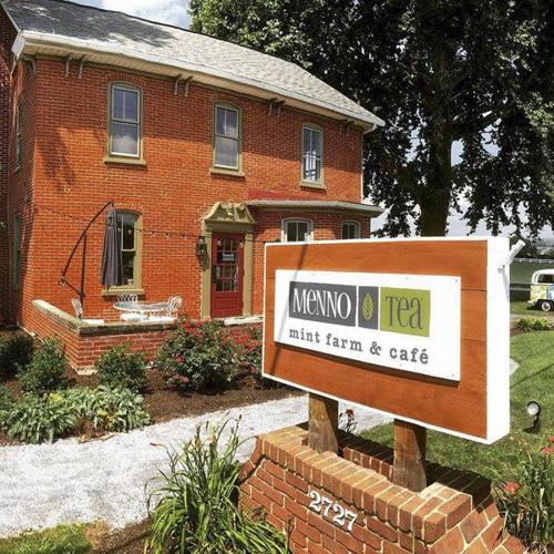 Goshen College grads building on Menno Tea with mint farm, cafe