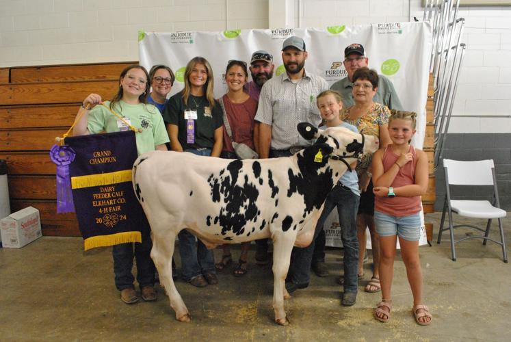 4 H Animals Auctioned At Elkhart County Fair Goshennews 4-h-animals-auctioned-at-elkhart-county-fair-goshennews