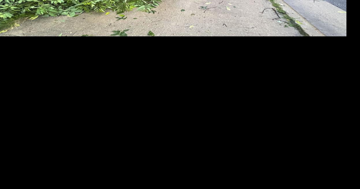 Storms cause power outages, downed trees in Elkhart County area | News ...