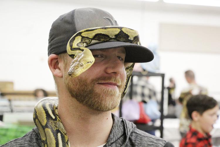 Reptile expo shows snakes, lizards as alternative pets for ...