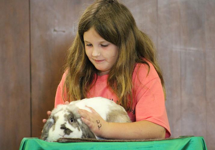 2018 Elkhart County 4H Fair livestock auction Multimedia