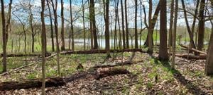 Trouble in Beech Grove: Parks department seeks $1 million to begin new county park construction