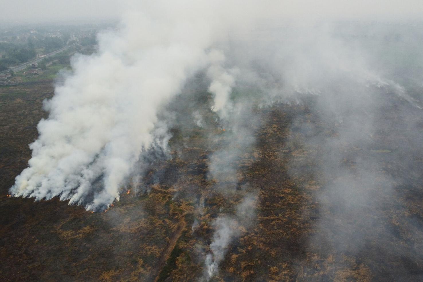 Proper Indo Click Indonesia Wildfires | National News | goshennews.com