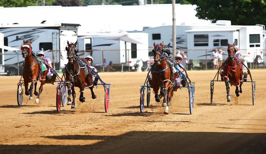 HARNESS RACING: Massive Desire takes photo finish in Maple City Trot ...