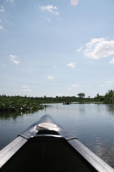State to close Pigeon River’s rustic camping area | News | goshennews.com