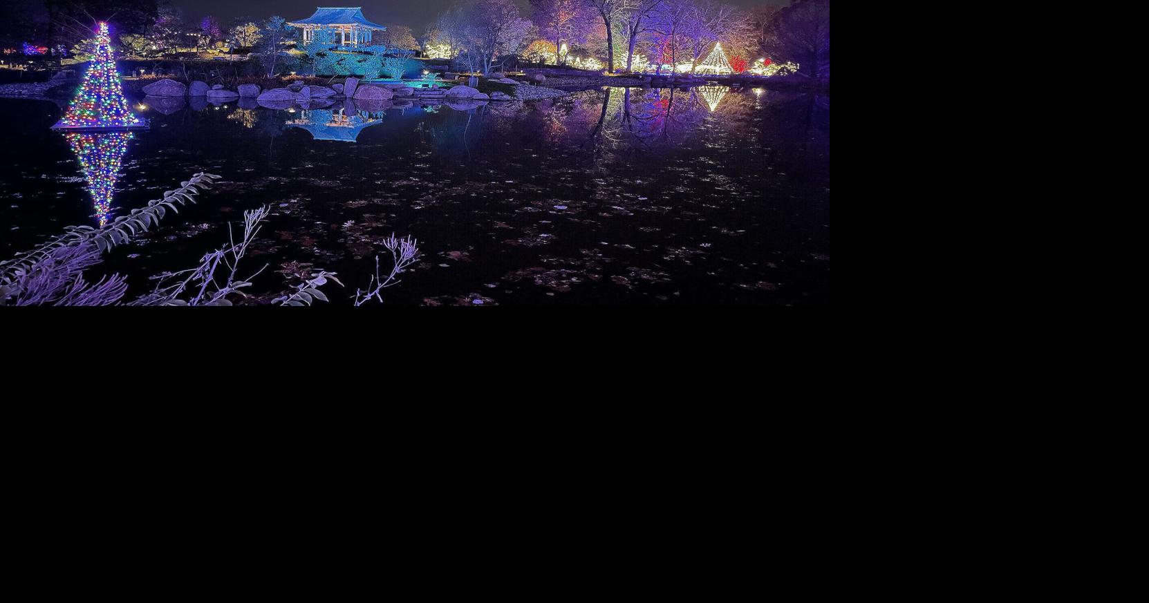 Holiday light spectacles offer a show News