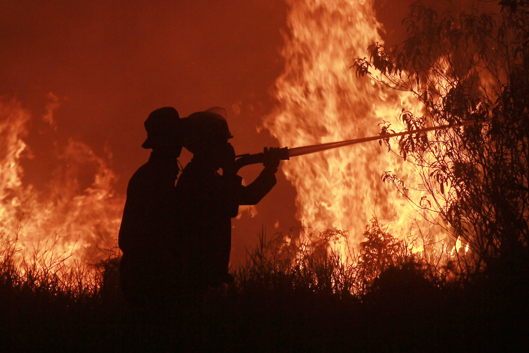 Proper Indo Click Indonesia Wildfires | National News | goshennews.com