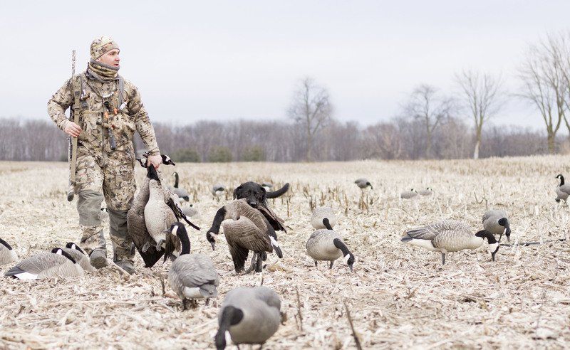 Firearms deer season opens today | Local News | goshennews.com