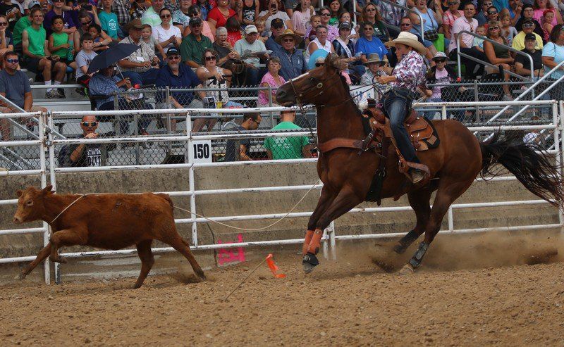 4 H Fair Rodeo Miller Enjoys Competing At Hometown Rodeo Local