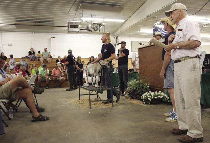 4H livestock auction nets 1.2 million Elkhart County 4h Fair