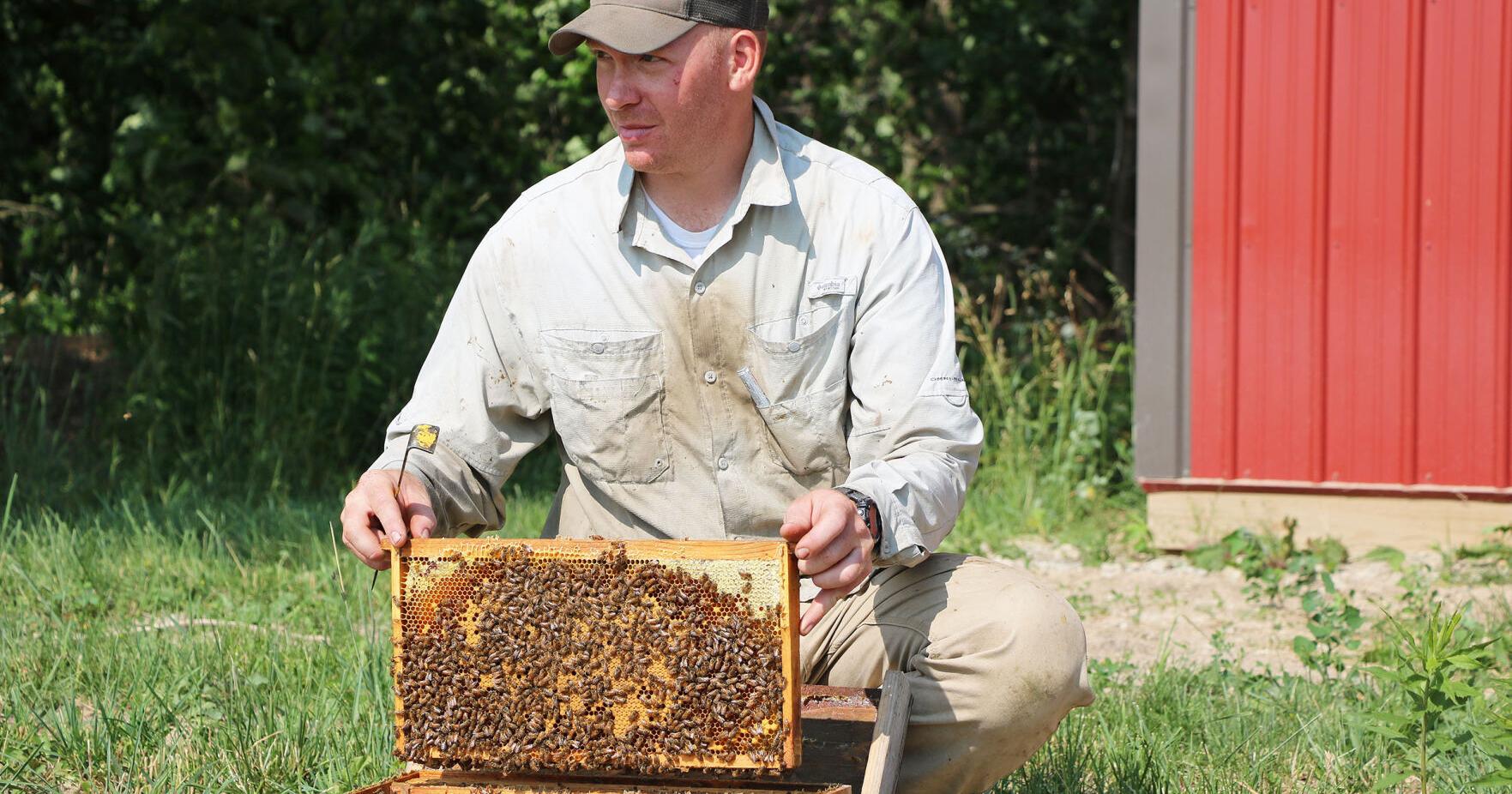 Mitchell's Honey Company works to increase health of bees | News - Vimarsana News