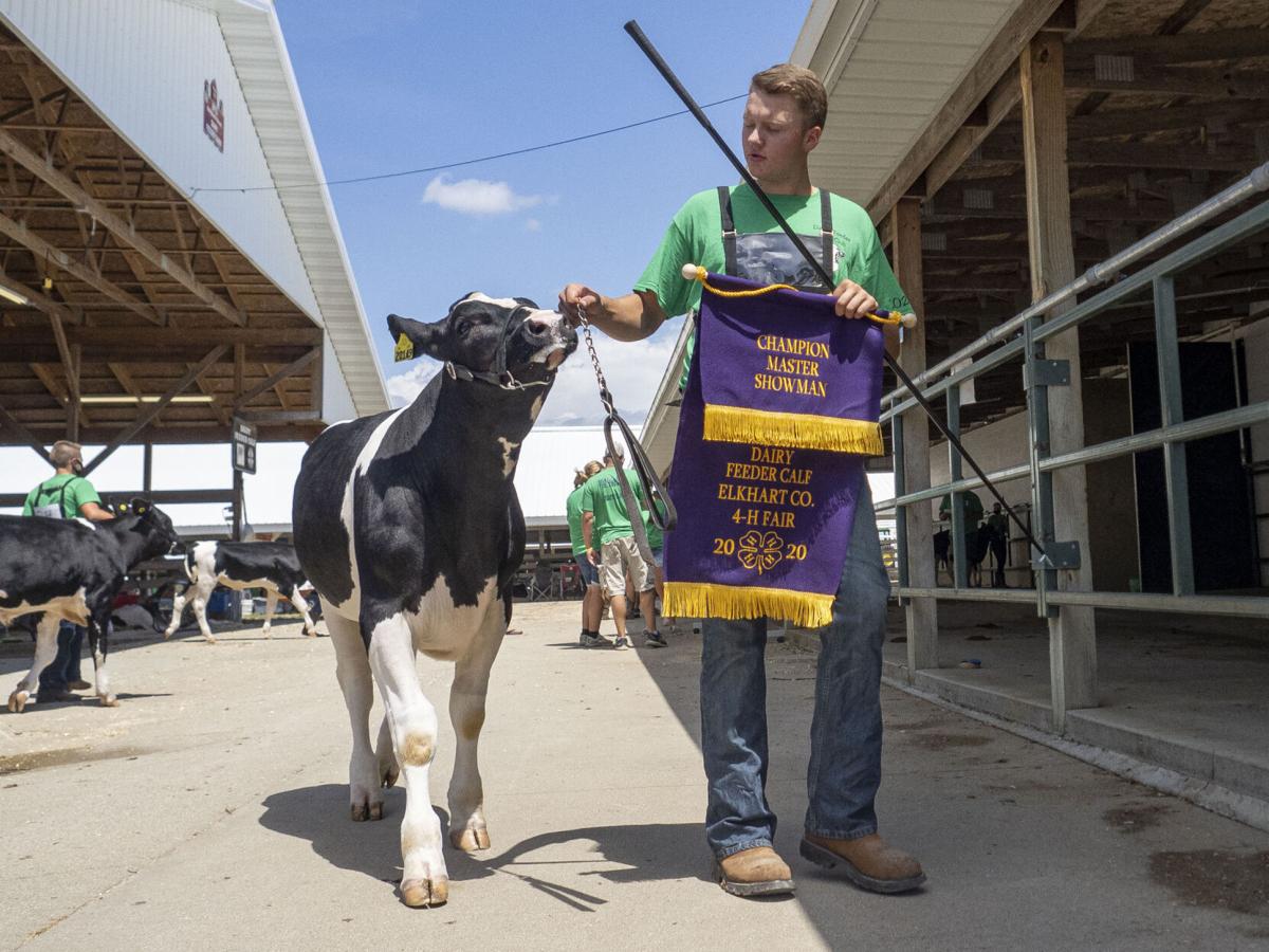 Elkhart County 4-H Dairy Feeder Showcase 2020