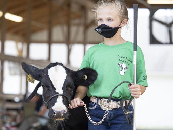 Elkhart County 4H Dairy Feeder Showcase 2020 News