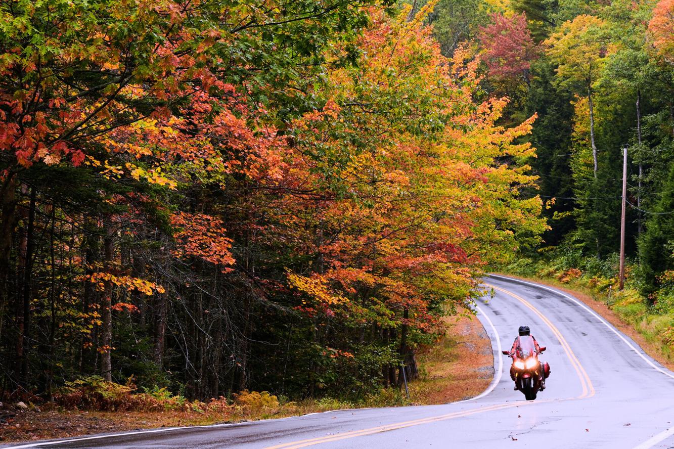 68d44ff7c80d1.image.jpg?resize=1333%2C888