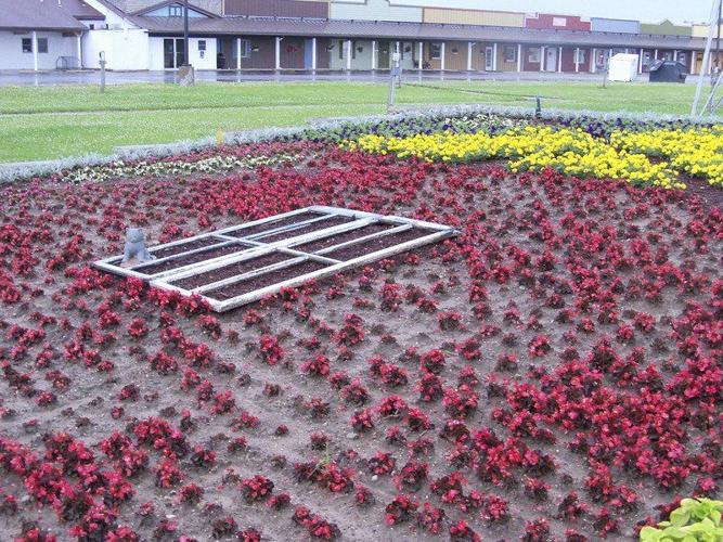 Creative Committee designs Nappanee Center Quilt Garden Local News