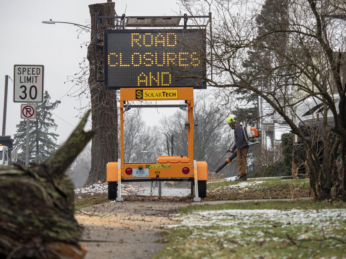Wilden Avenue Tree Removal