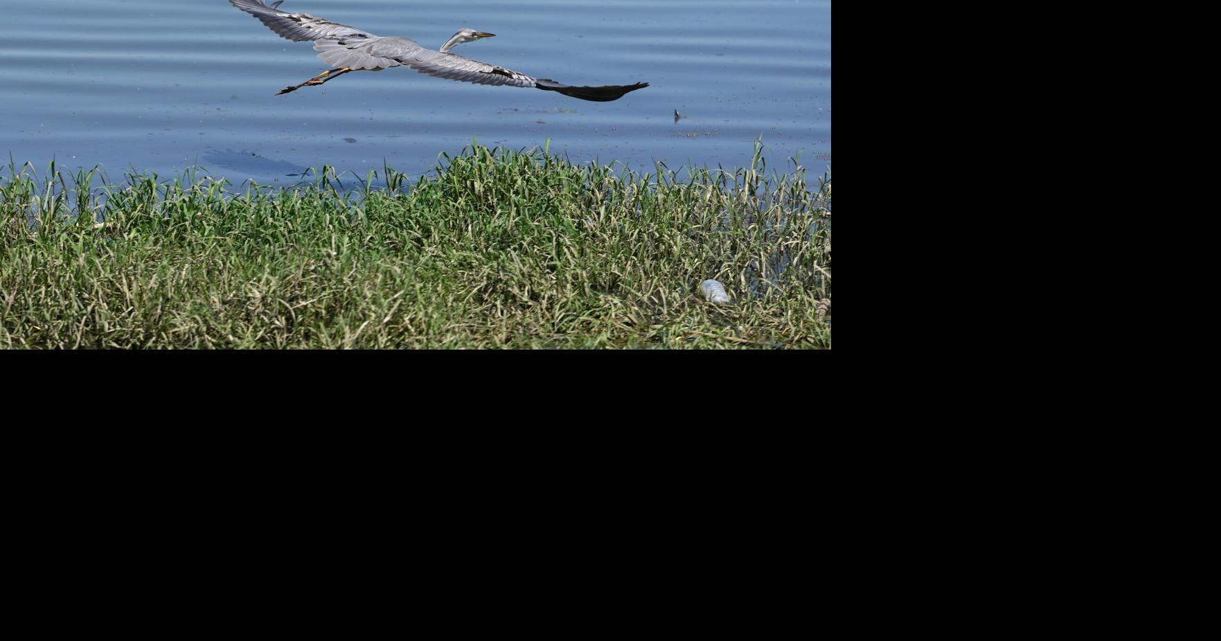 Serbia Wildlife