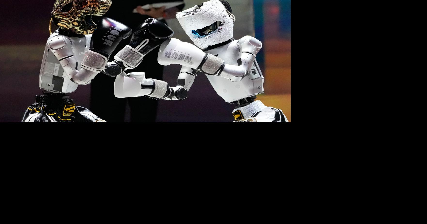 APTOPIX South Korea Robots