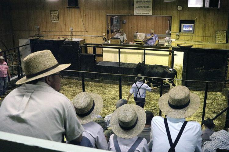 SPOTLIGHT ON TOPEKA Livestock auction is a 'staple in the community