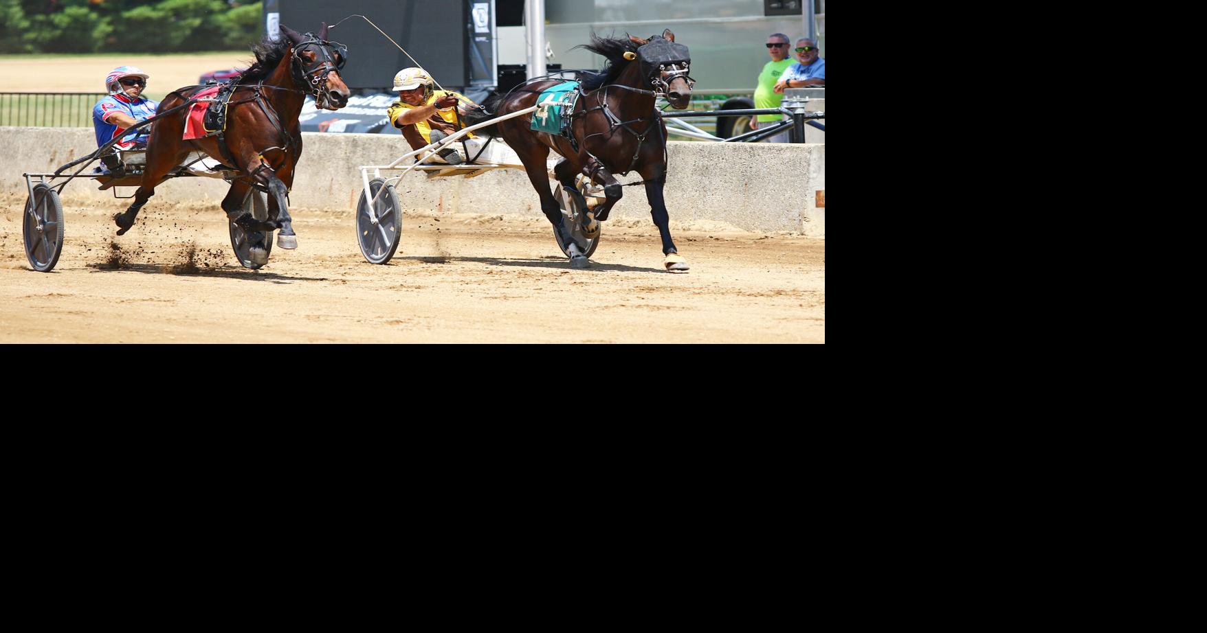 HARNESS RACING: Massive Desire takes photo finish in Maple City Trot ...