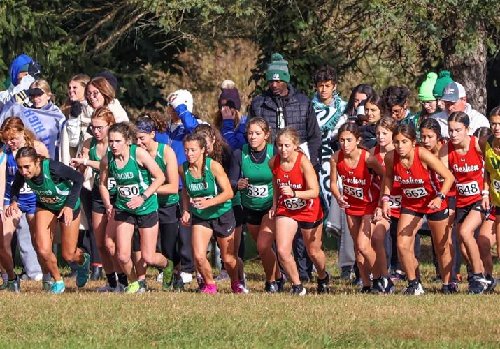 PREP CROSS COUNTRY Northridge sweeps Ox Bow Sectional Sports
