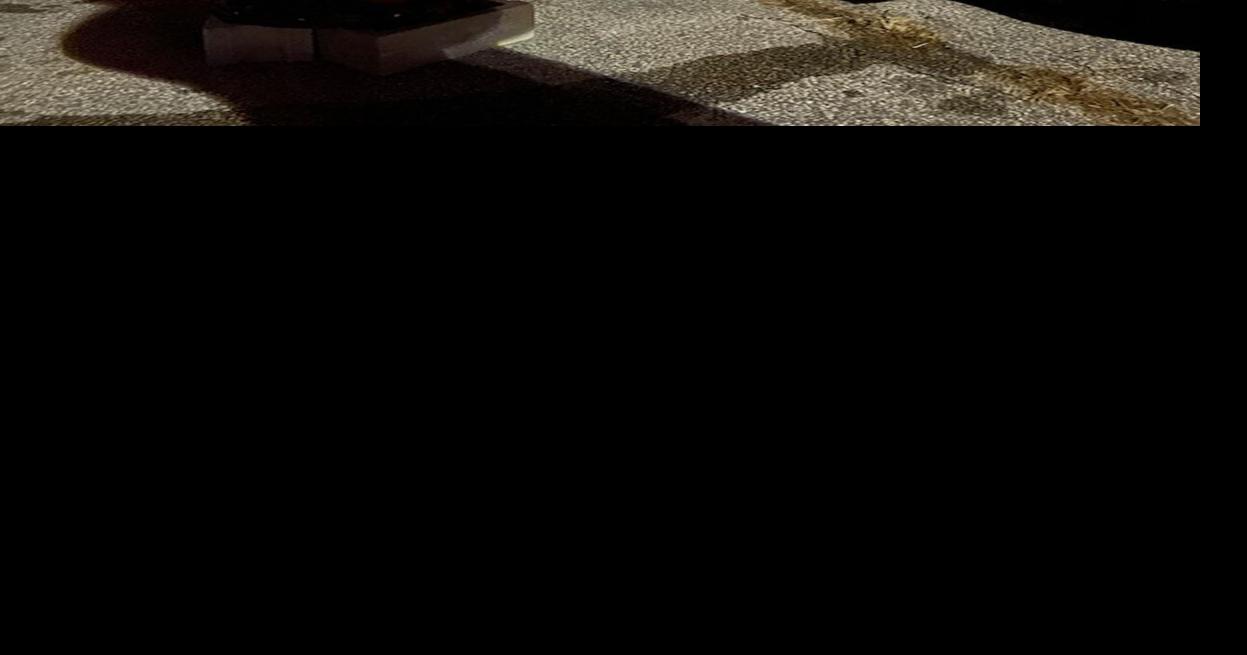 Sleep Out part of weeklong activities to raise awareness about homelessness News