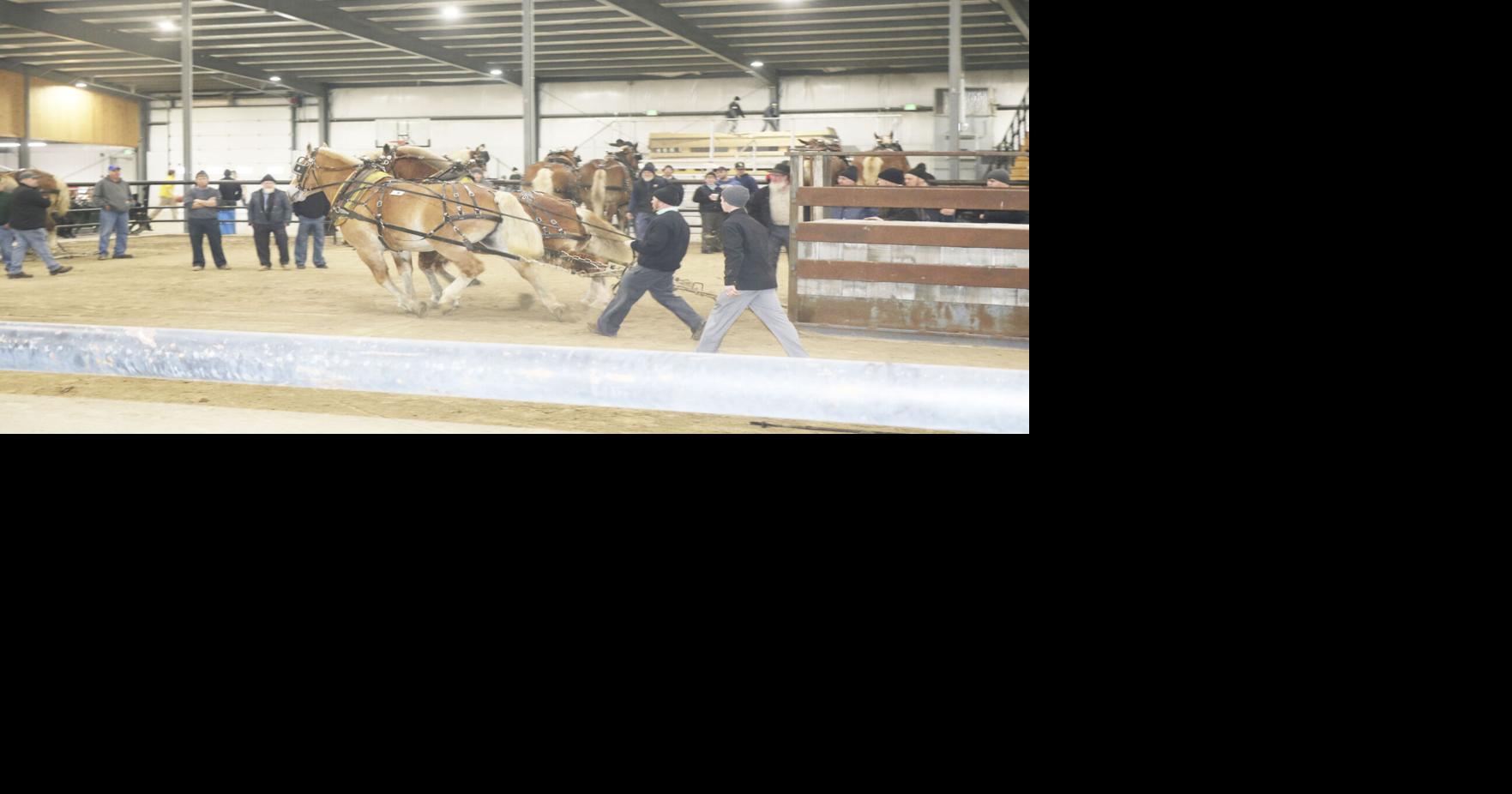 Topeka Livestock Auction hosts Saturday benefit News