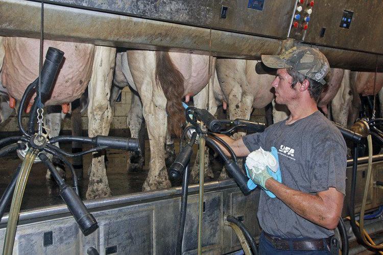 SPOTLIGHT ON LAGRANGE: Young farmer sees opportunities in dairy ...
