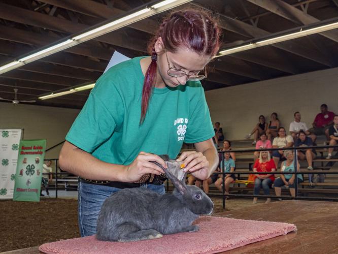 Longtime 4H'er has final hurrah News