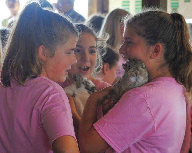 Rabbits showcased at Elkhart County 4H Fair News