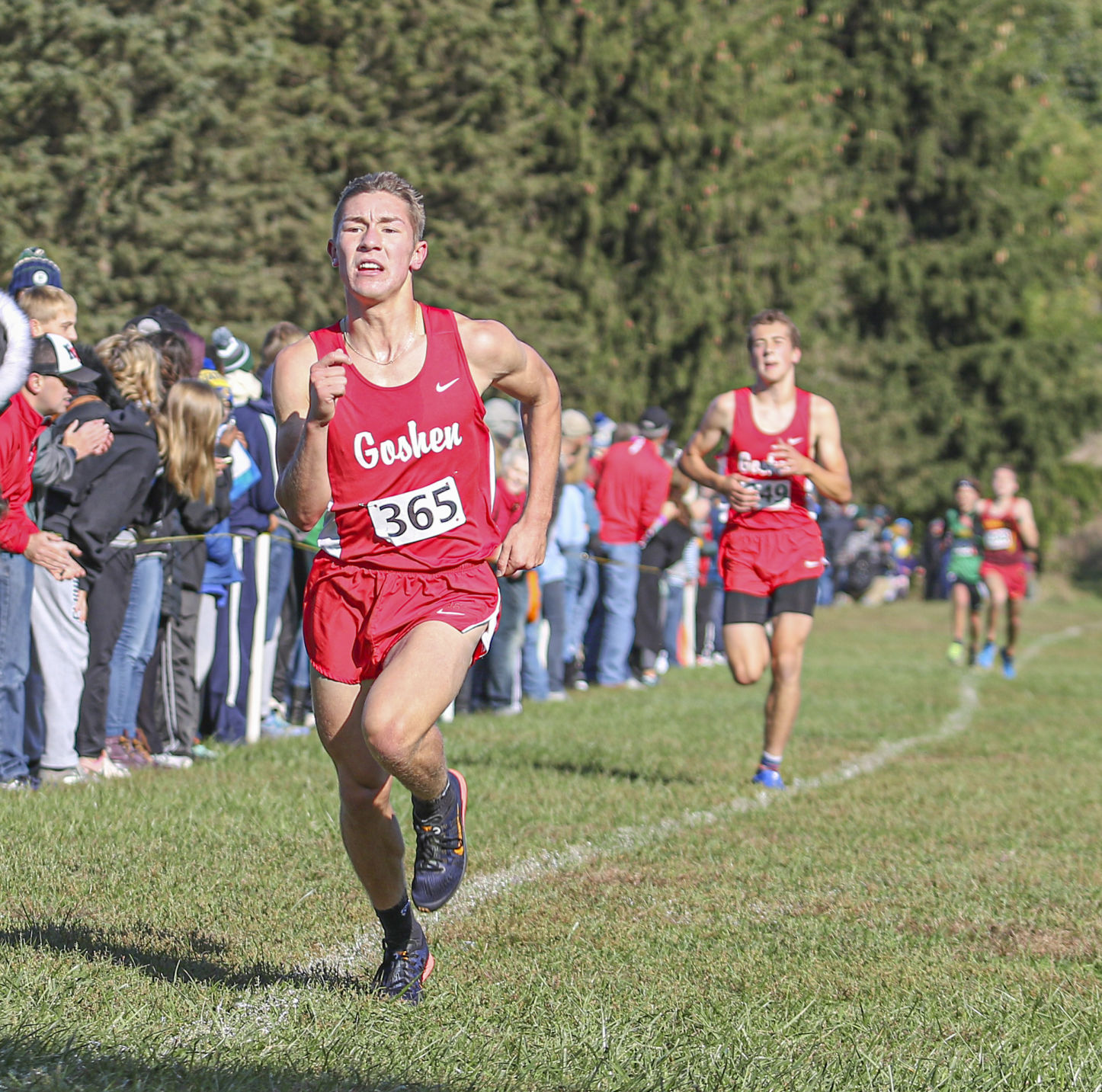 PREP CROSS COUNTRY: Goshen Boys, Northridge Girls Win Team Sectional ...