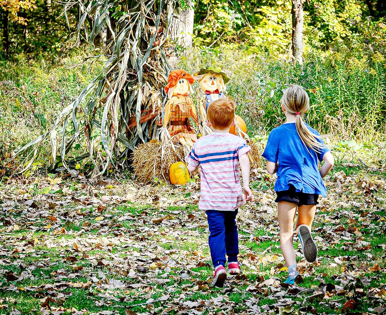 Learn what happens to nature as colder weather moves in News