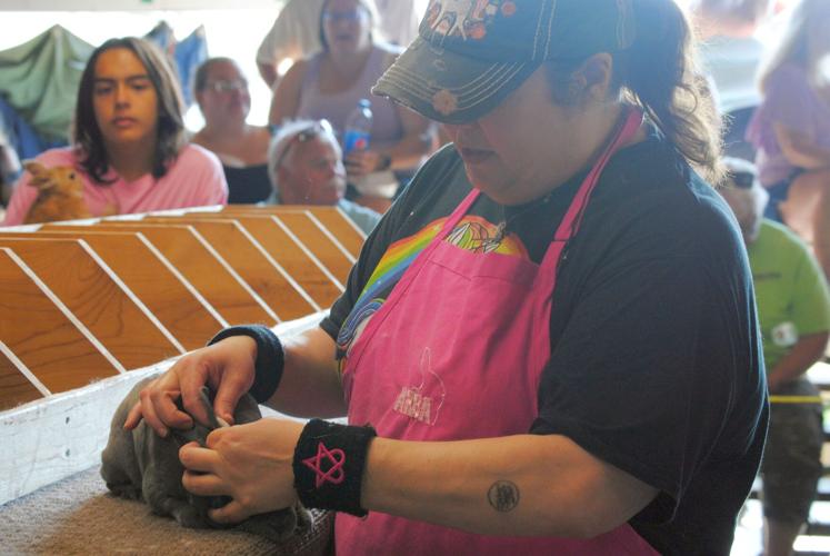 Rabbits showcased at Elkhart County 4H Fair News