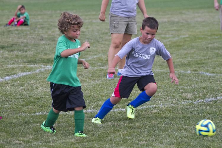 Players, families enjoy new Nappanee soccer complex Local News