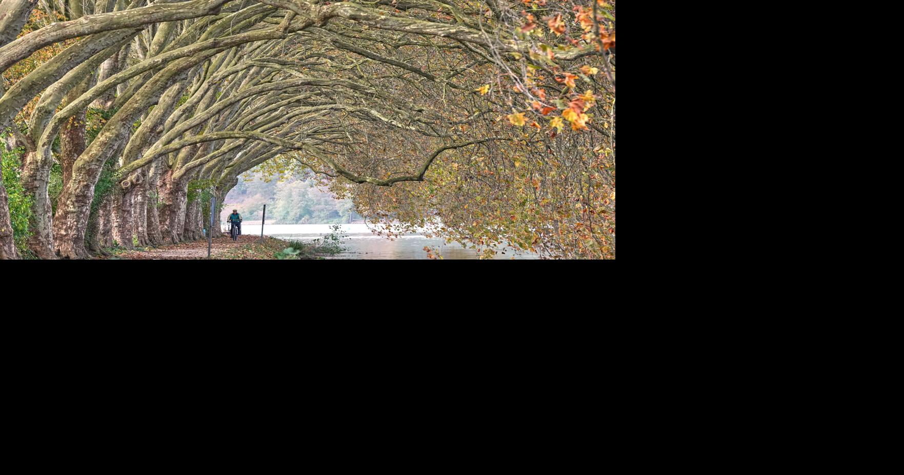 APTOPIX Germany Daily Life | National News | goshennews.com