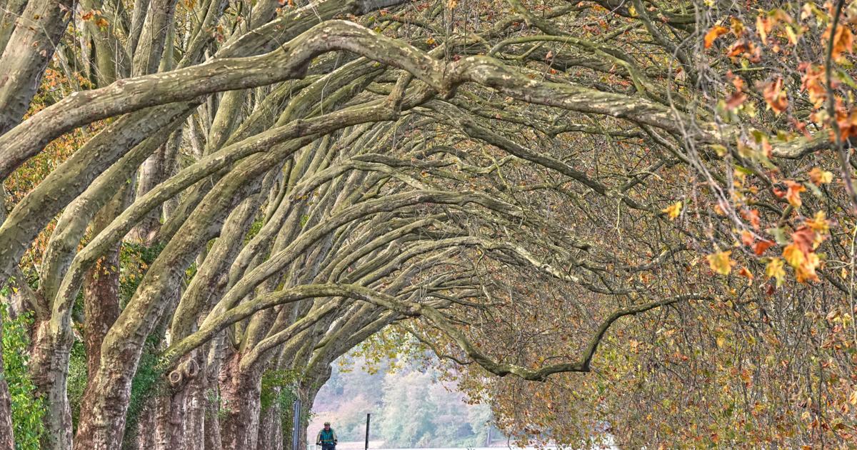 Germany Graduates APTOPIX Germany Daily Life | National News | goshennews.com