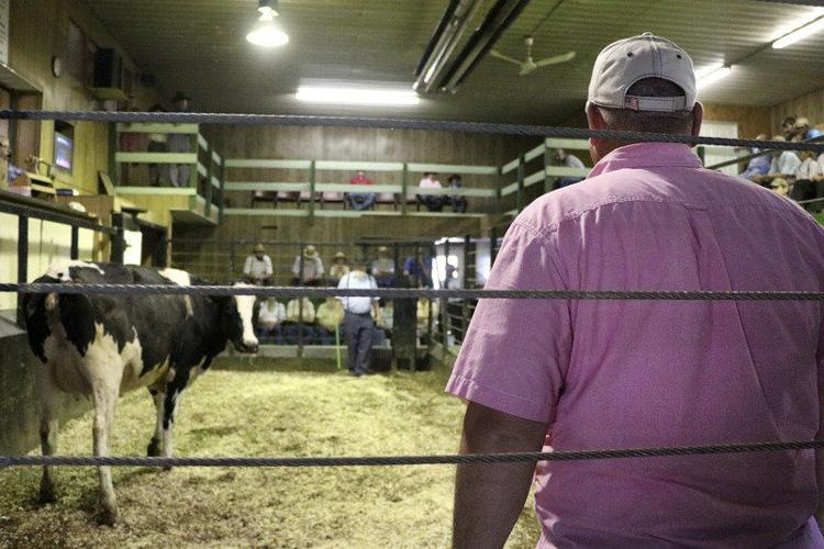 SPOTLIGHT ON TOPEKA Livestock auction is a 'staple in the community