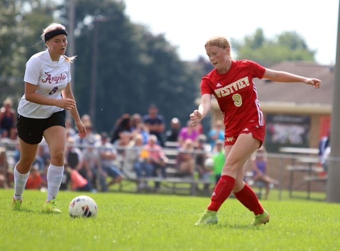 PREP SOCCER Westview sweeps NECC Tournament titles Sports