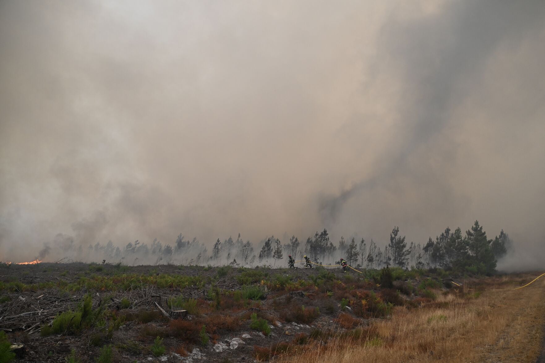Pyrocumulonimbus Mechanics The Anatomy of Fire Generated Weather Systems
