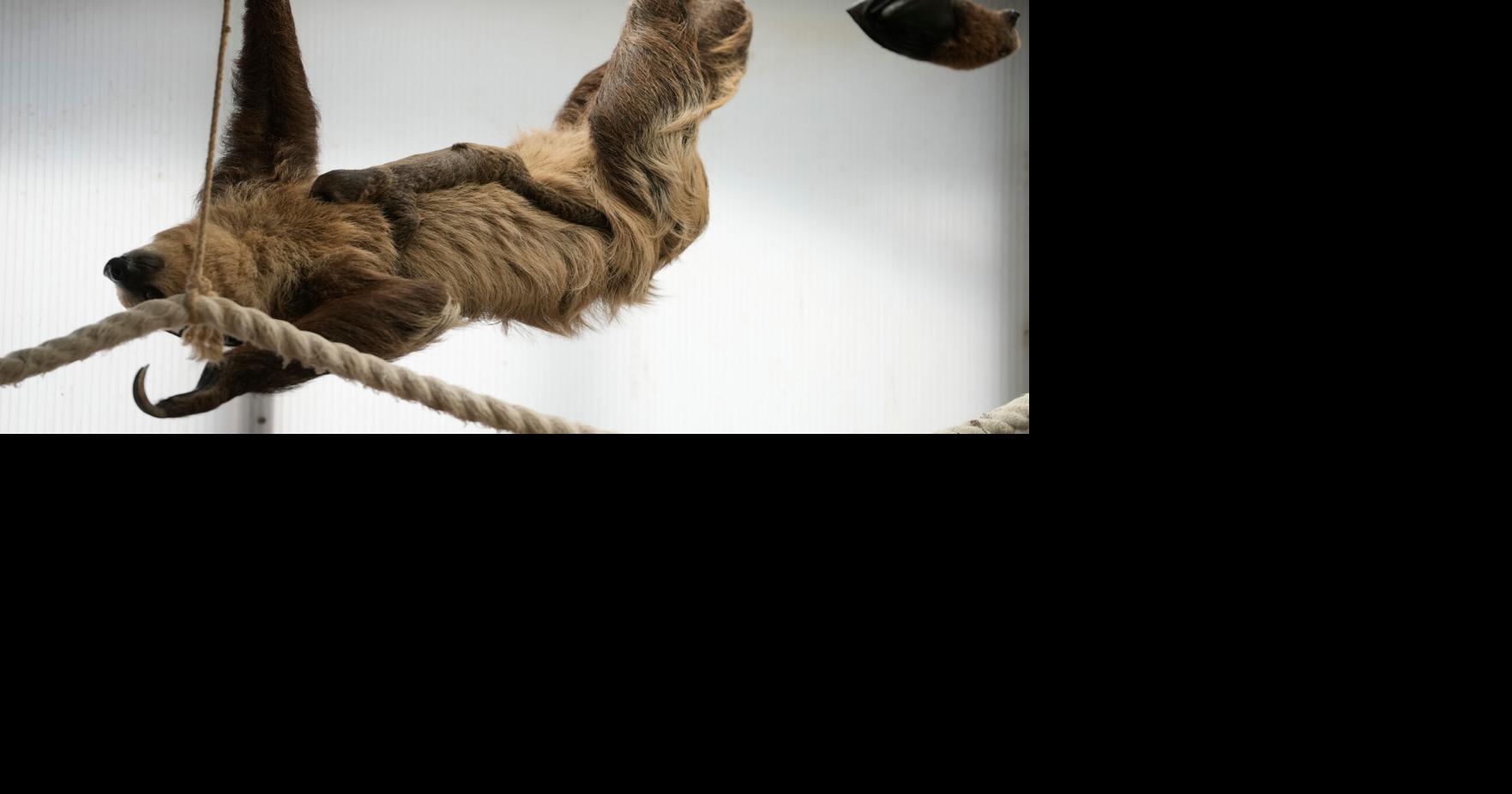 Greece Zoological Park