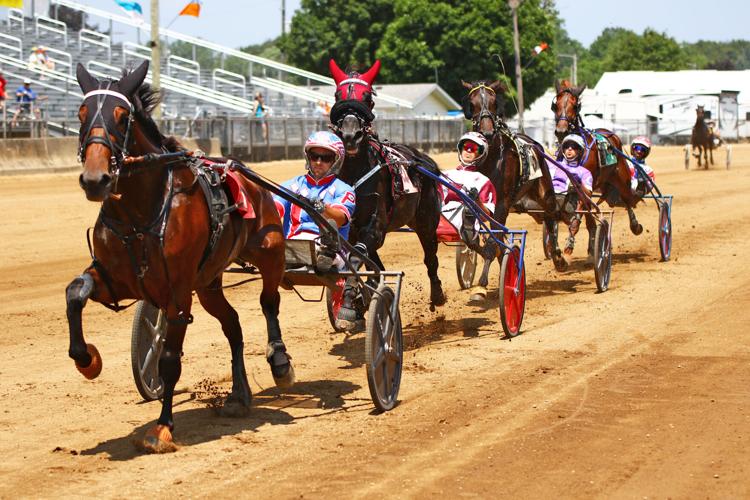 HARNESS RACING: Massive Desire takes photo finish in Maple City Trot ...