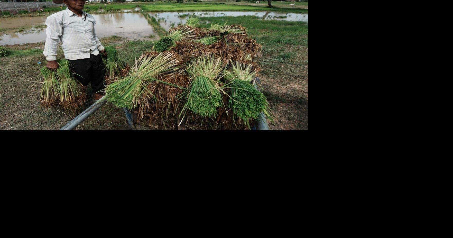 Cambodia Daily Life