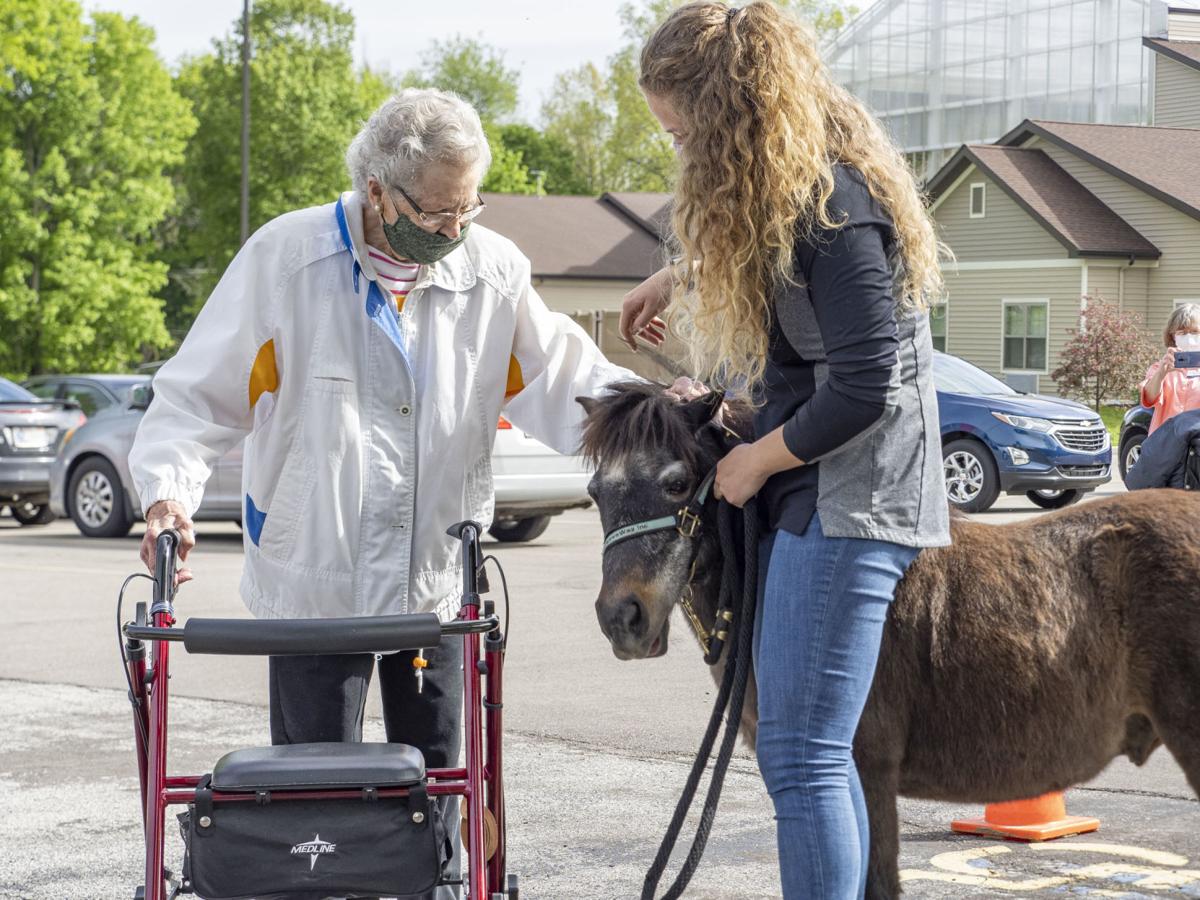 LoveWay Mini Horses bring Cheers to Residents at Hubbard Hill Living Wisdom Community