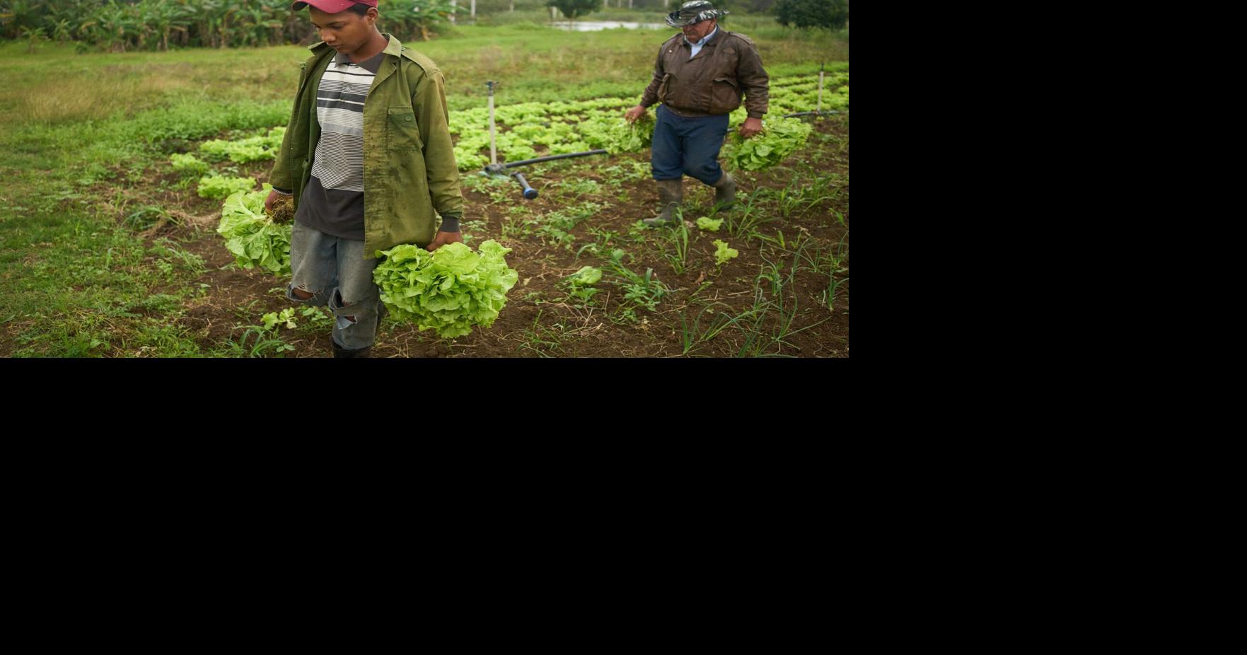 Cuba Self Sufficient