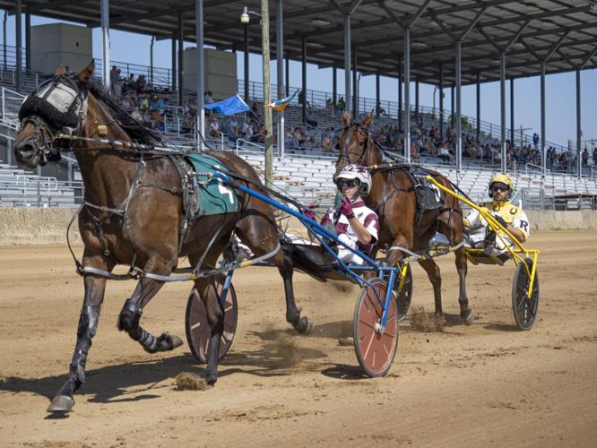 ELKHART COUNTY FAIR: Mississippi drivers dominate day two of harness ...
