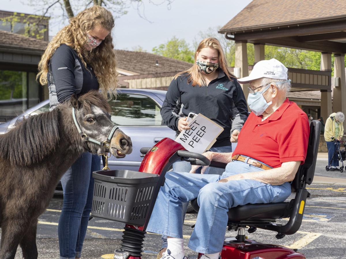 LoveWay Mini Horses bring Cheers to Residents at Hubbard Hill Living Wisdom Community