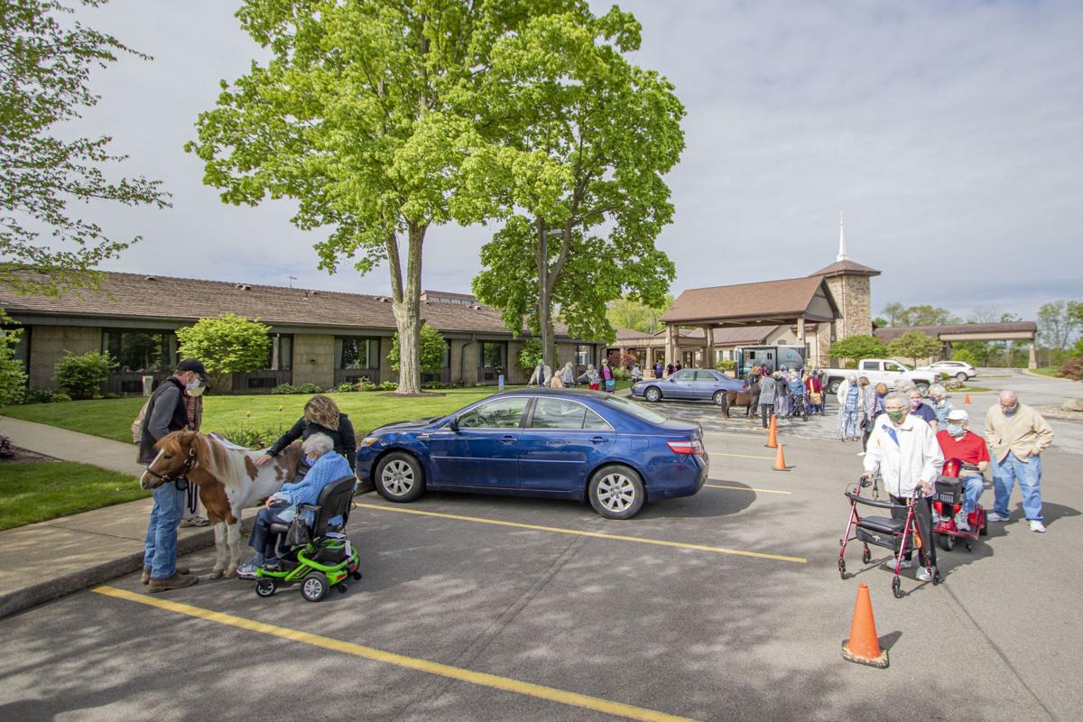 LoveWay Mini Horses bring Cheers to Residents at Hubbard Hill Living Wisdom Community