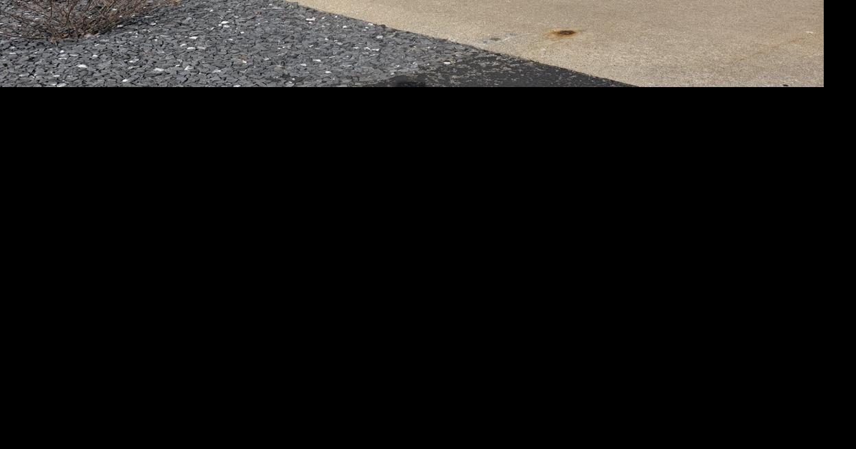 Wind wreaks havoc across region on Friday