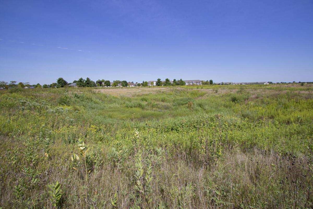 Life in the Prairies
