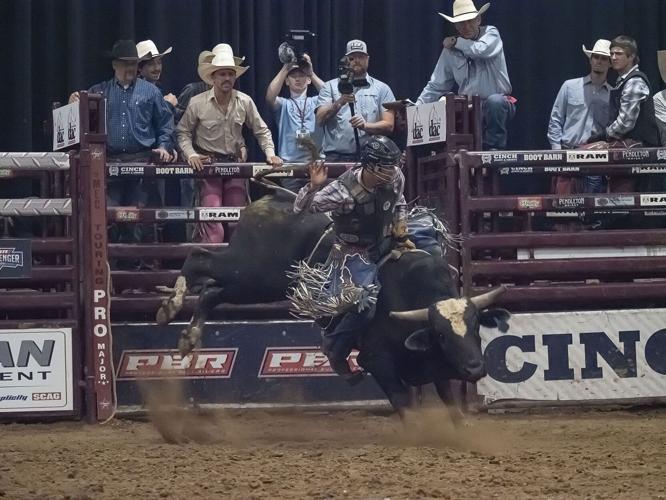 Bull Fest returned to Shipshewana Friday and Saturday | News ...